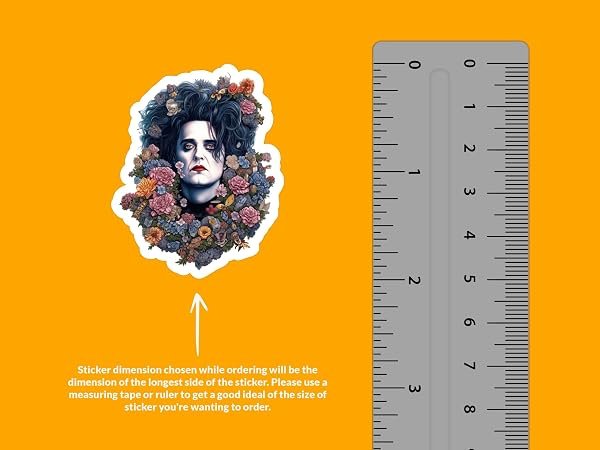Robert-Smith-Sticker-B0D1THSSTW-2