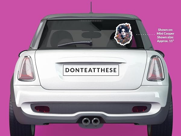 Robert-Smith-Sticker-B0D1THSSTW-5