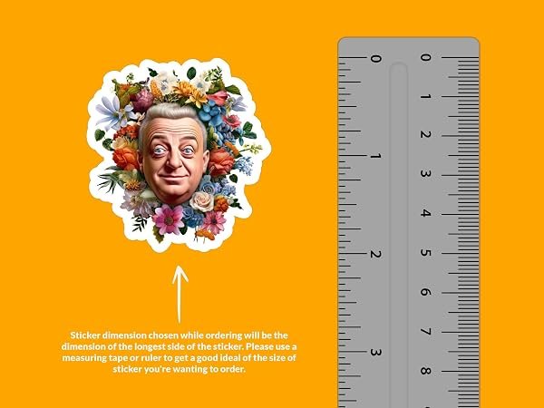 Rodney-Dangerfield-Sticker-B0D1T865XZ-2