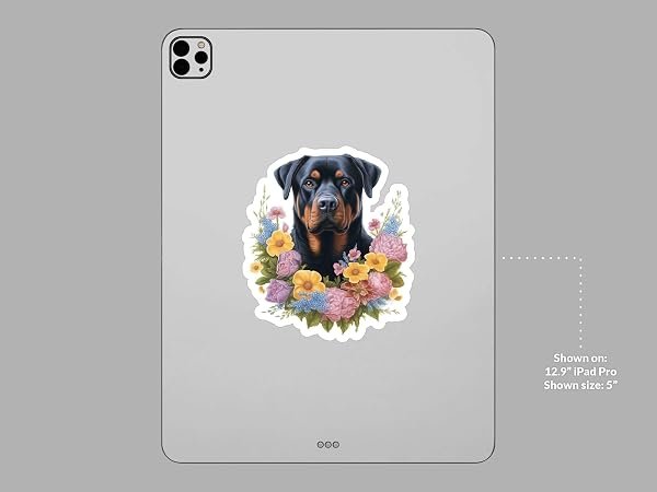 Rottweiler-Dog-Sticker-B0D1STM4Z3-7