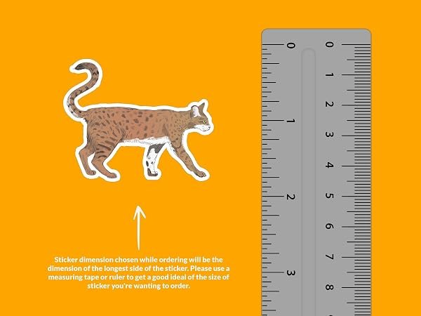 Savannah-Cat-Sticker-B0D1TZXPFV-2