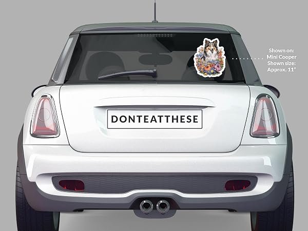 Sheltie-Dog-Sticker-B0D1TBY16Z-5