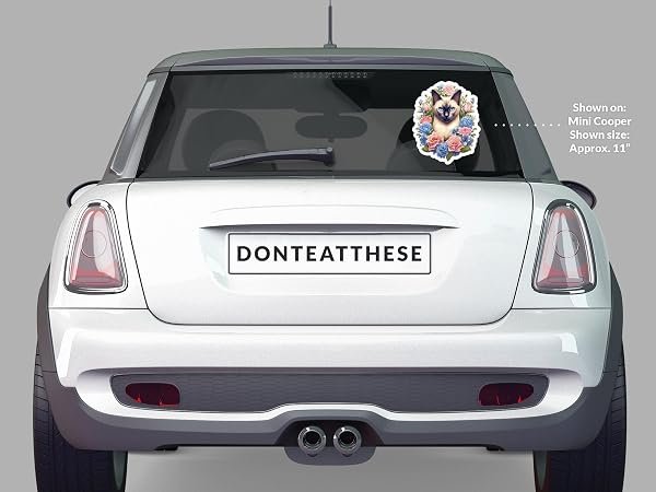 Siamese-Cat-Sticker-B0D1SR34QY-5