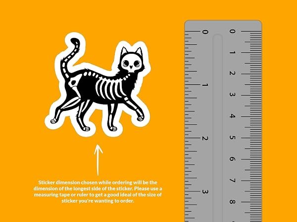 Skeleton-Cat-Sticker-B0D1V46JLP-3