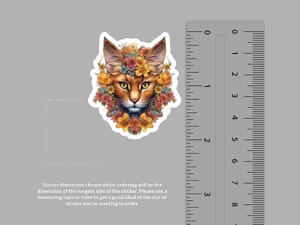 Somali-Cat-Sticker-B0D1T4N3SN-2