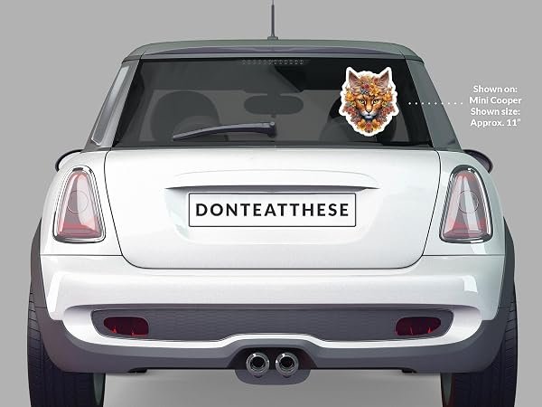 Somali-Cat-Sticker-B0D1T4N3SN-5