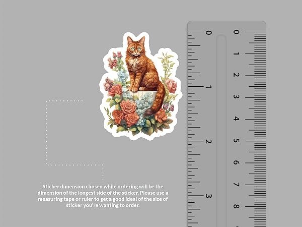 Somali-Cat-Sticker-B0D1T5X34Z-2