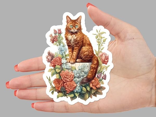Somali-Cat-Sticker-B0D1T5X34Z