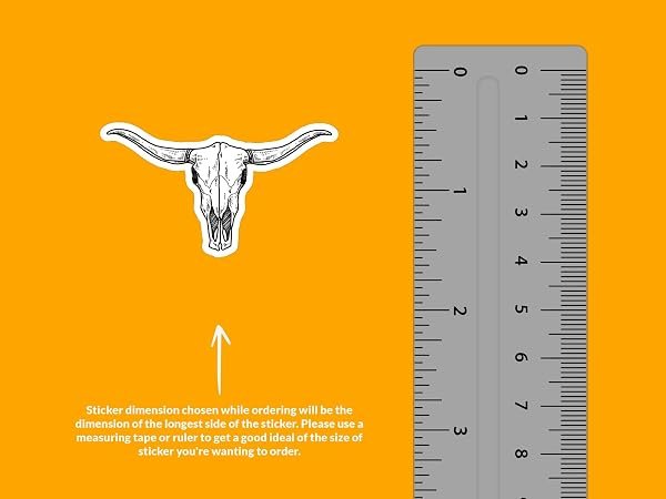 Texas-Longhorn-Bull-Skull-Sticker-B0D1TW27R7-3