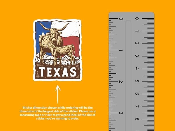 Texas-Longhorn-Sticker-B0D1TTP28Y-3