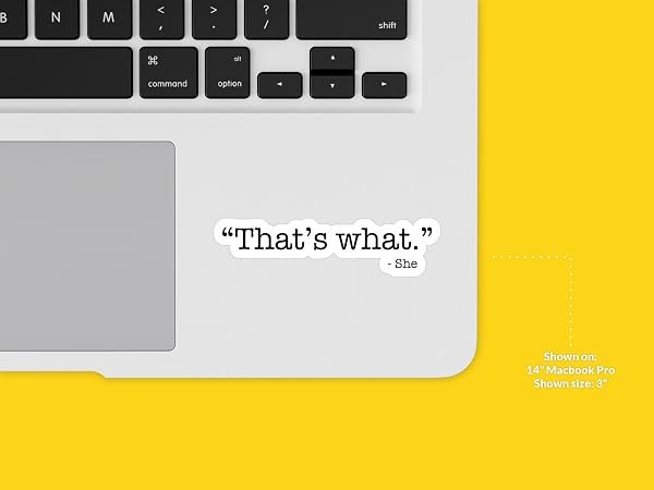 Thats-What-She-Said-Michael-Scott-sticker-B0D1SWST6N-4
