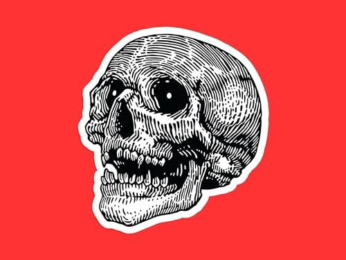 Variation-1197-7-of-Hatch-Human-Skull-Sticker-B0D1TX7X82-233917