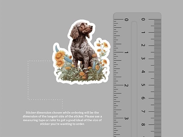 Wirehaired-Pointing-Griffon-Sticker-B0D1SXC52F-2