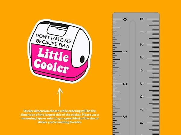 Wish-You-Were-A-Little-Cooler-Sticker-B0D1TS8855-2