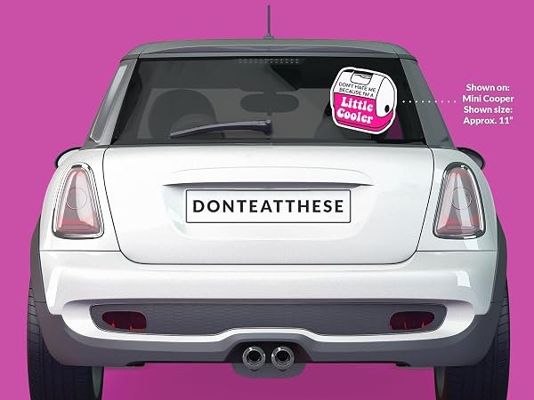 Wish-You-Were-A-Little-Cooler-Sticker-B0D1TS8855-5